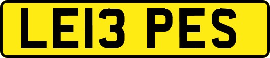 LE13PES