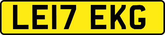 LE17EKG
