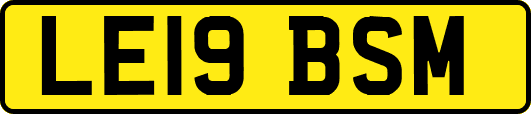LE19BSM