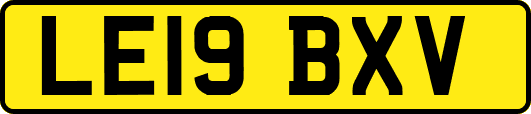 LE19BXV
