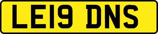 LE19DNS