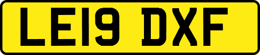 LE19DXF