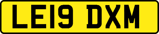 LE19DXM