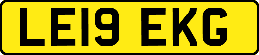 LE19EKG