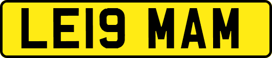 LE19MAM
