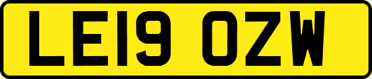 LE19OZW