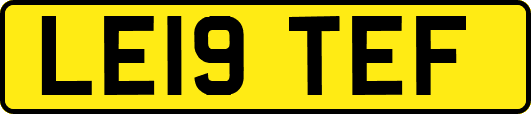 LE19TEF