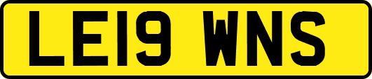 LE19WNS