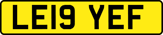 LE19YEF