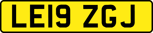 LE19ZGJ