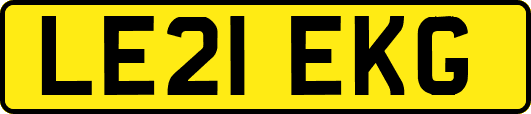 LE21EKG