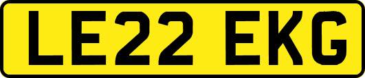 LE22EKG