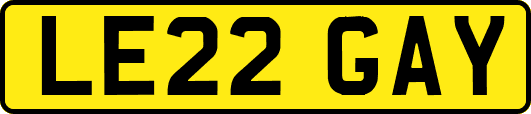 LE22GAY