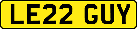 LE22GUY