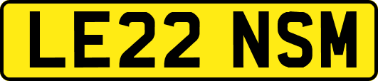 LE22NSM