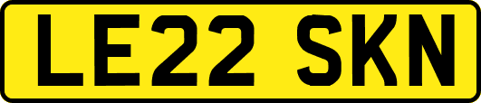 LE22SKN