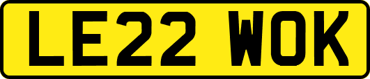 LE22WOK