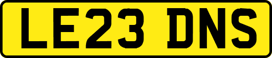 LE23DNS