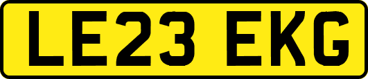 LE23EKG