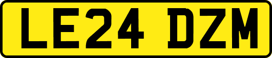 LE24DZM
