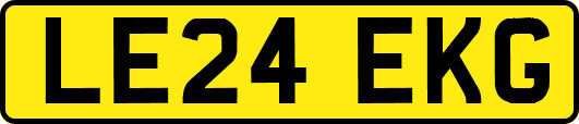 LE24EKG