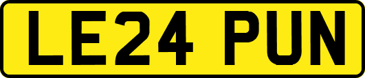 LE24PUN