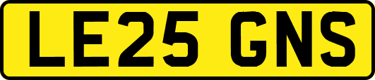 LE25GNS