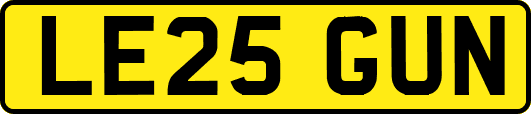 LE25GUN