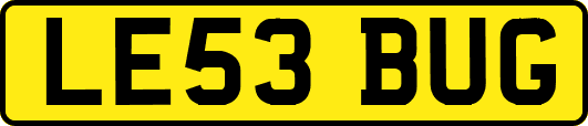 LE53BUG