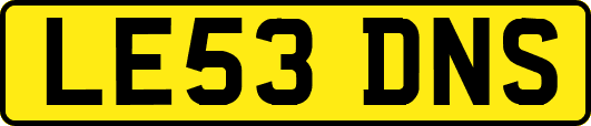 LE53DNS