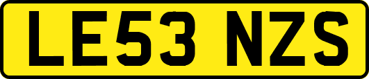 LE53NZS