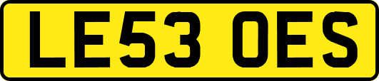 LE53OES