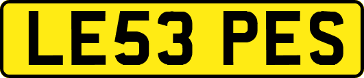 LE53PES