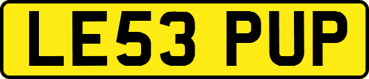 LE53PUP