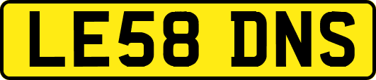 LE58DNS