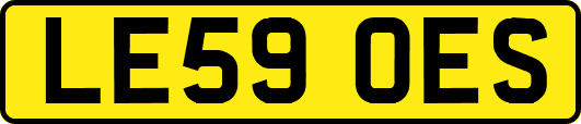 LE59OES
