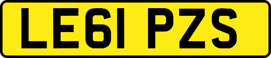 LE61PZS