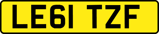 LE61TZF