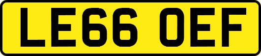 LE66OEF