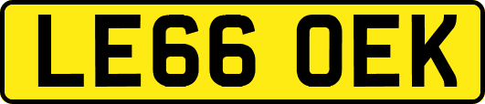 LE66OEK
