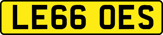 LE66OES