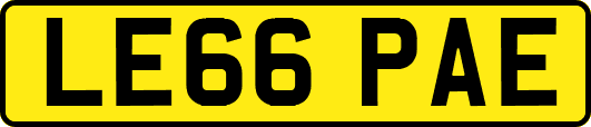 LE66PAE