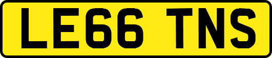 LE66TNS
