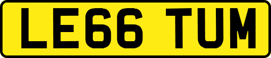 LE66TUM