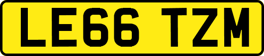 LE66TZM