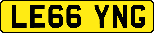 LE66YNG
