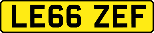 LE66ZEF