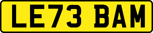 LE73BAM