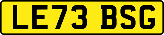 LE73BSG