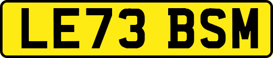 LE73BSM